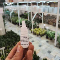 کود ضد شوک و تنش آمینو اسید گل گیاه آپارتمانی پتوس|گل و گیاه طبیعی|قم, نیروگاه|دیوار