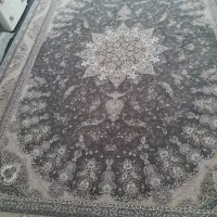 فرش ۹ متری|فرش|سنندج, |دیوار