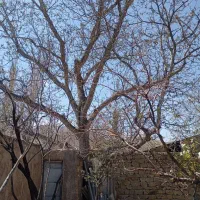 فروش-زمین-مهدیشهر