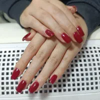 پذیرش مدل کاشت و ترمیم|خدمات آرایشگری و زیبایی|تهران, تهرانسر مرکزی|دیوار