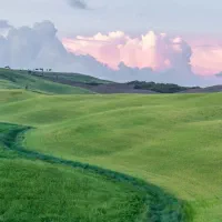 علف وکاه موجود است