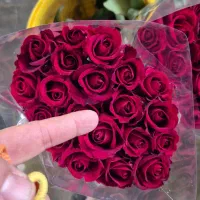 استخدام نیرو کار آقا جهت فعالیت در گلخانه