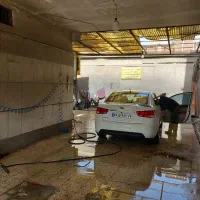 نیروی کارواش