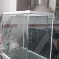 فروش آکواریوم|ماهی|شیراز, ریاستی|دیوار