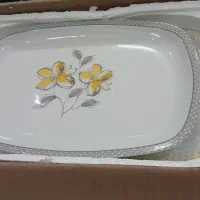 ظروف غذا خوری