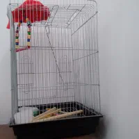 قفس عروس هلندی بزرگ