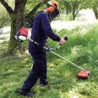 باغبانی|خدمات باغبانی و درختکاری|همدان, |دیوار