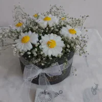 انواع باکس شمع