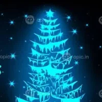 فروش/درخت صنوبر * ۵/۵ هکتار هفت ساله/5400 تا|گل و گیاه طبیعی|رشت, بوسار|دیوار