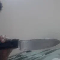 چاقوی‌سلاخی برندولی