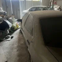 زانتیا صفر خشک