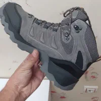 هومتو ارجینال ۴۲