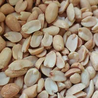 بادام زمینی کره گیری چرب هندی بار امسالی