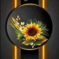 حواله اطلس اس