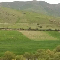 اجاره-زمین-کشاورزی-شراکتی