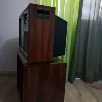 تلویزیون عتیقه سونی|کلکسیون اشیاء عتیقه|شیراز, بید زرد|دیوار