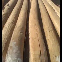 خریدار چوب خشک تر بید چنار تیر خانه قدیمی