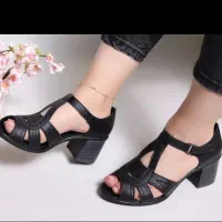 فروش کفش زنانه تک سایز به صورت تعداد بالا