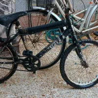 دوچرخه|دوچرخه، اسکیت، اسکوتر|بندر ماهشهر, |دیوار