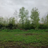 فروش زمین سندار 200متر/حسین آباد