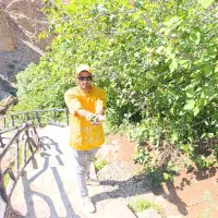 نهالستان میاندوآب|خدمات باغبانی و درختکاری|قزوین, |دیوار