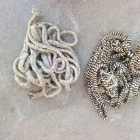 فروش دو عدد رسن