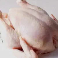 گوشت مرغ محلی کشتار روز (با ضمانت بازگشت وجه)