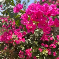 فروش-خانه-نیمه-ساخته-کوه-زر