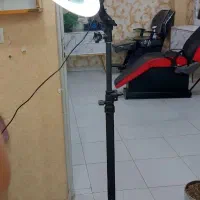 رینگ لایت