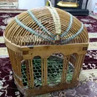 پرنده