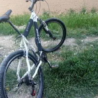 دوچرخه ویوا
