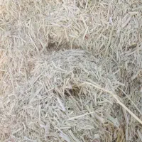 خار وشوره وسلمه قاطی