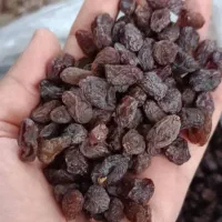 کشمش آفتابی تاکستان|خوردنی و آشامیدنی|تهران, مرزداران|دیوار