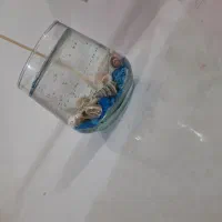 شمع