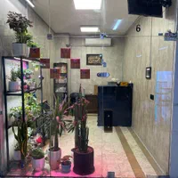 لامپ تخصصی فول اسپکتروم رشد گل و گیاه