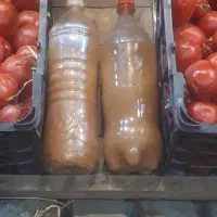 سرکه سیب
