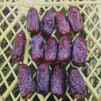 فروش خرمایی پیاروم حاجی آباد بصورت عمده