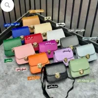 کیف مینی بگ