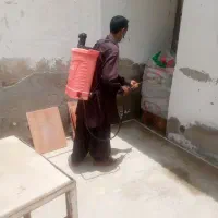 نظافت وسم پاشی|خدمات نظافت|چابهار, |دیوار