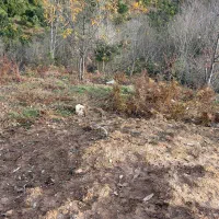 زمین مسکونی 947متر بر 17 متر