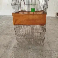 قفسه پرنده