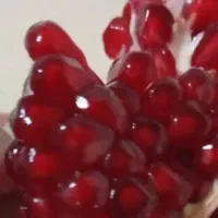 بادمجان  و انار و رب انار