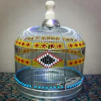 جوجه سهره خاکی (قناری)