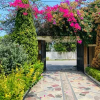 خدمات باغبانی