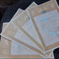 زمین-سند-تک-برگ-صدرا