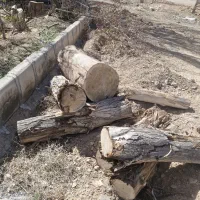 خرید و فروش چوب