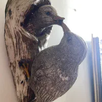 مجسمه پرنده