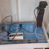 آکواریوم شرکتی شیشه خم|ماهی|ماهدشت, |دیوار