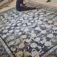 فرش کلاسیک دودی وفیلی|فرش|شیراز, پودنک|دیوار