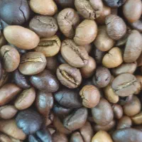 دان قهوه|عمدهفروشی|کرمان, |دیوار